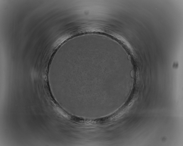 X0000100490785200806201651