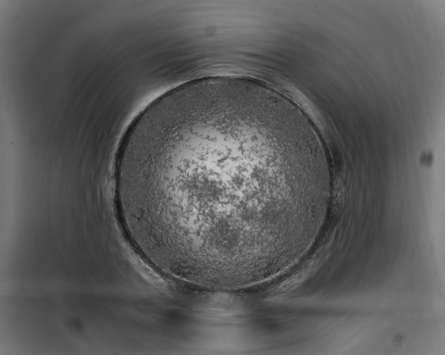X0000100490787200806201651