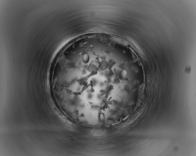 X0000100490788200806201651