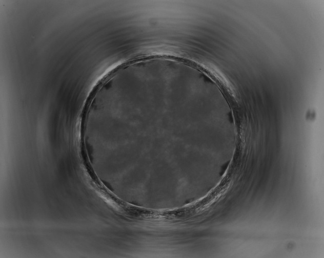 X0000100490790200806201651