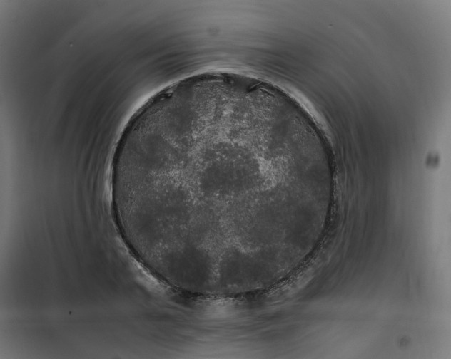 X0000100490791200806201651