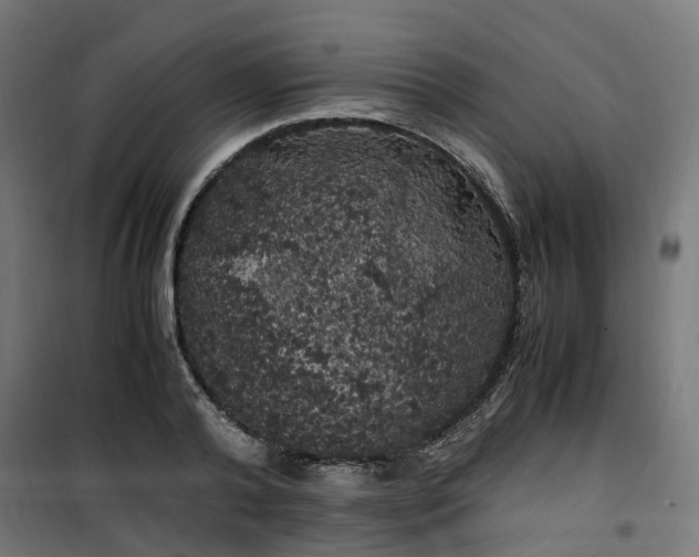 X0000100490792200806201651