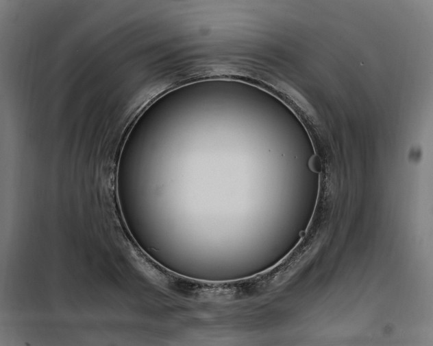X0000100490793200806201651