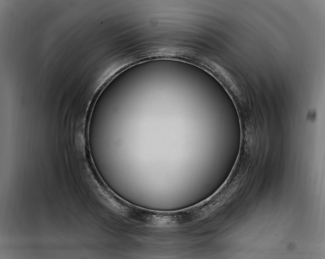 X0000100490794200806201651