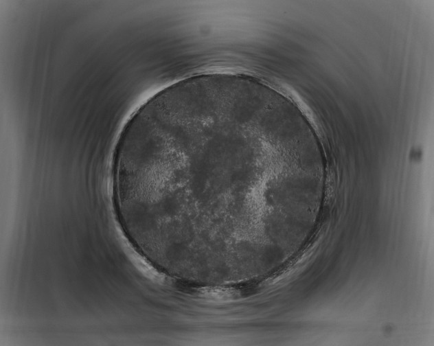 X0000100490795200806201651