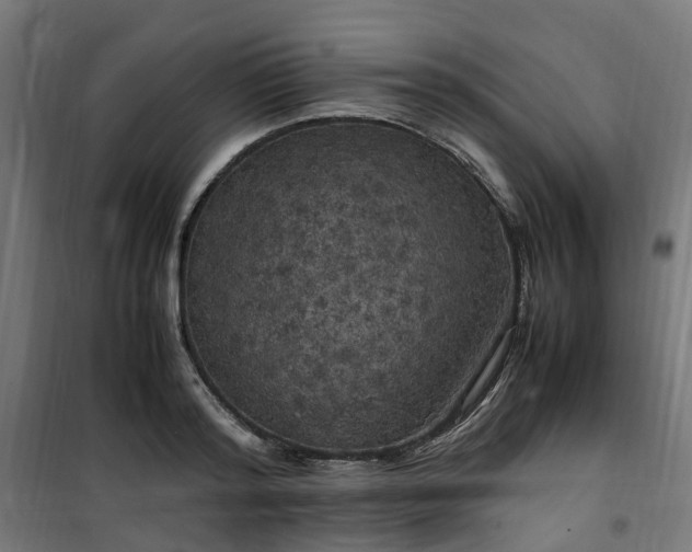 X0000100490796200806201651