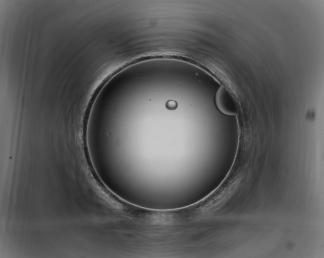 X0000100490797200806201651