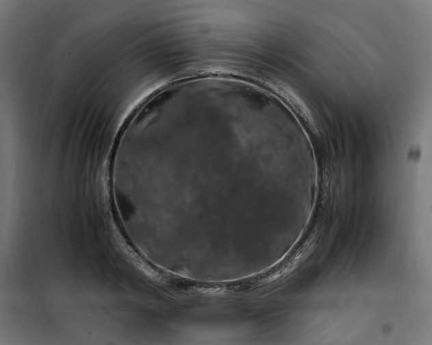 X0000100490798200806201651