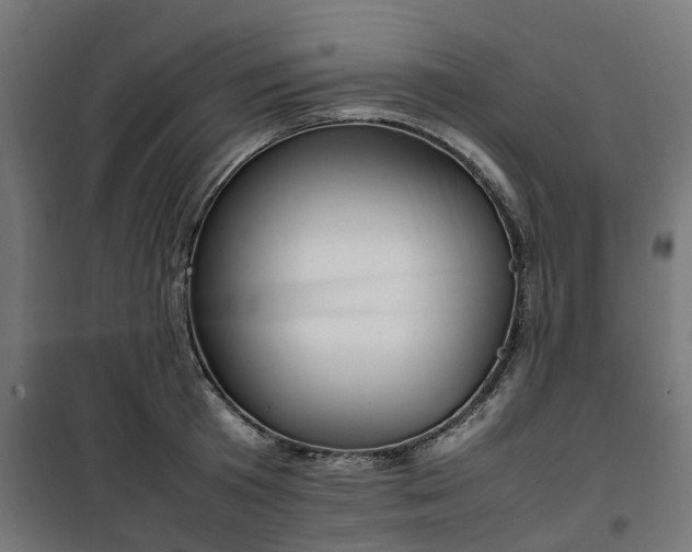 X0000100490801200806201651