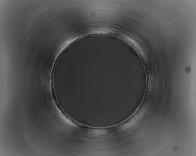 X0000100490802200806201651