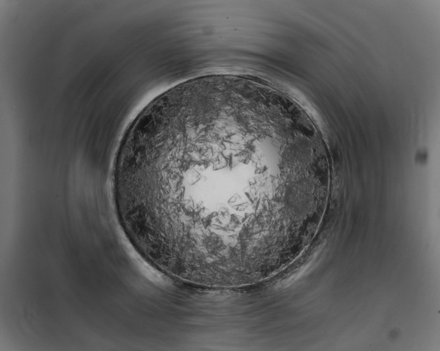 X0000100490803200806201651