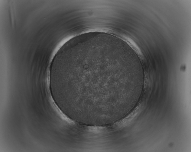 X0000100490804200806201651