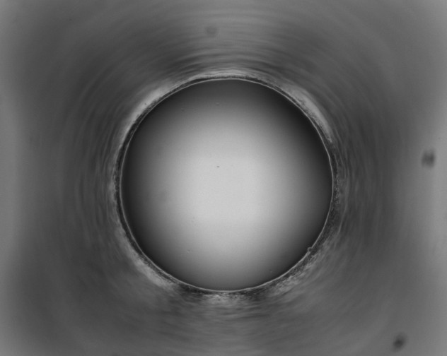 X0000100490805200806201651