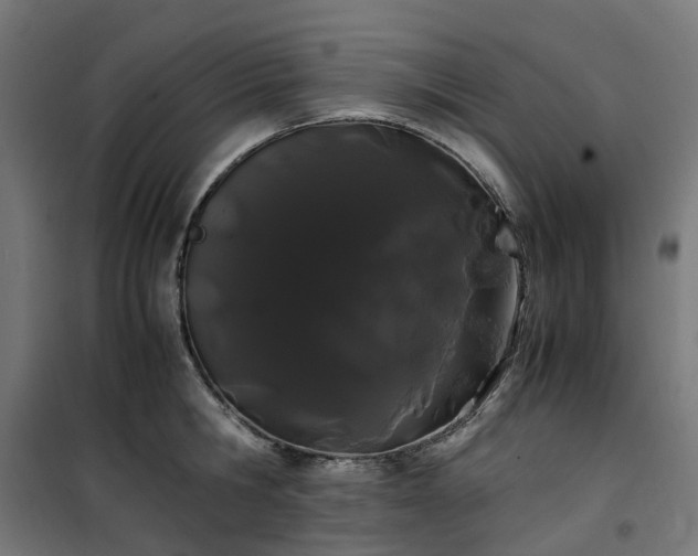 X0000100490806200806201651