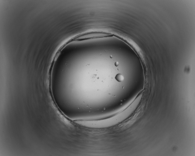 X0000100490807200806201651