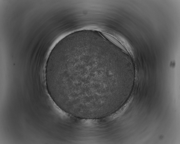 X0000100490808200806201651