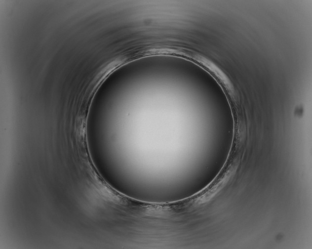 X0000100490809200806201651