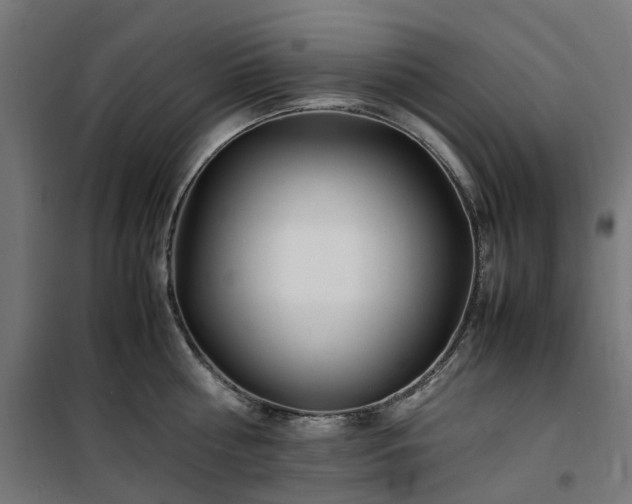 X0000100490810200806201651