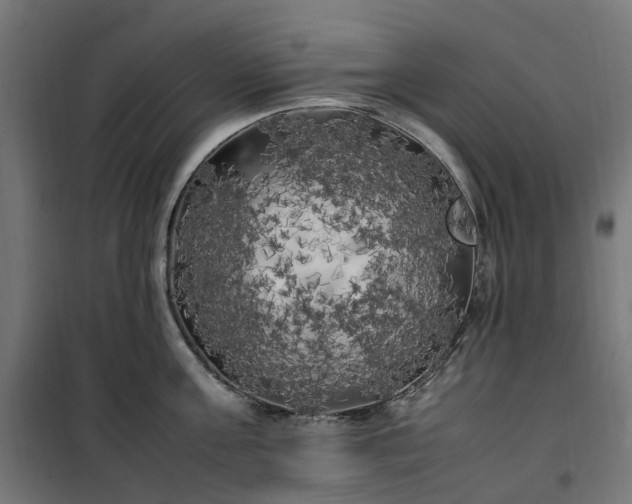 X0000100490811200806201651