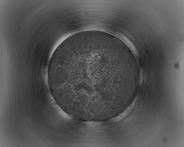 X0000100490812200806201651