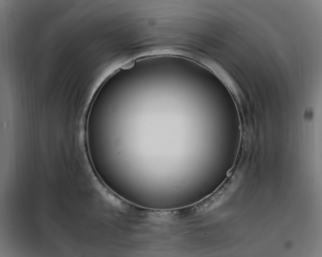 X0000100490813200806201651