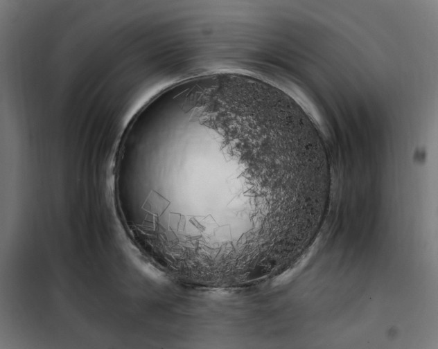 X0000100490814200806201651