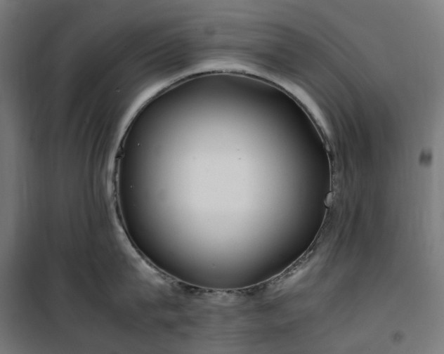 X0000100490815200806201651