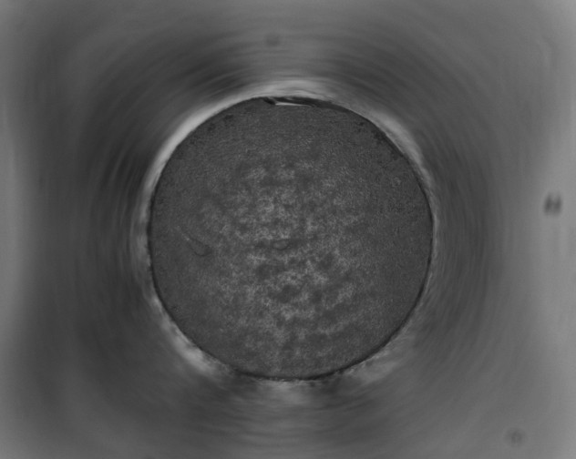 X0000100490816200806201651