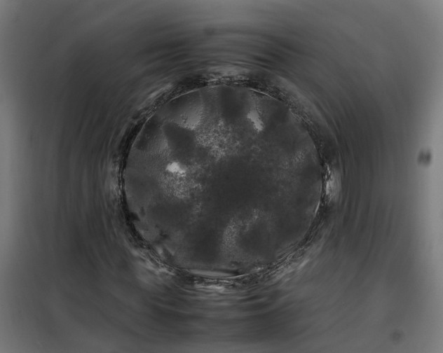 X0000100490819200806201650