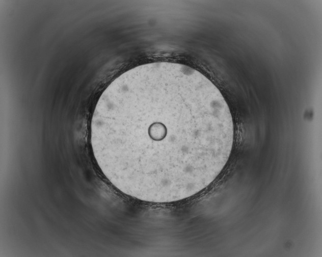 X0000100490820200806201650