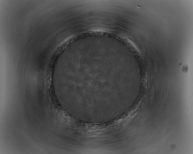 X0000100490821200806201650