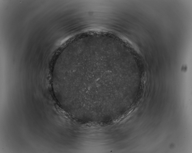 X0000100490822200806201650