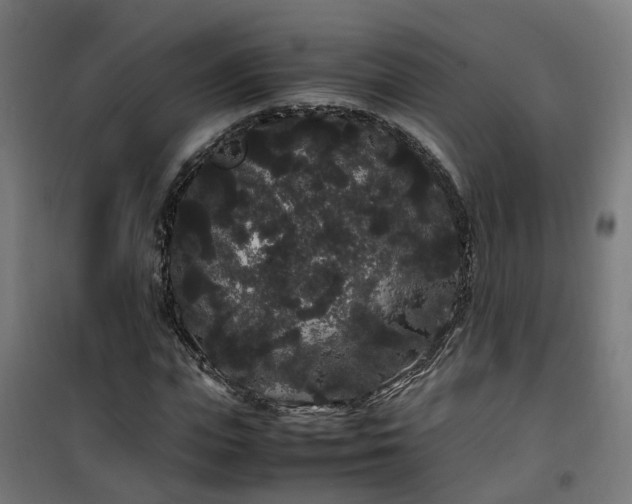 X0000100490823200806201650