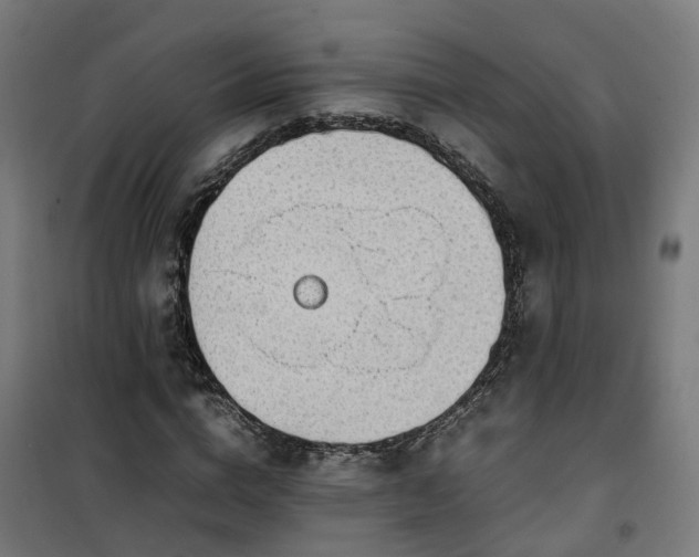 X0000100490824200806201650