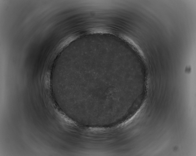 X0000100490825200806201650