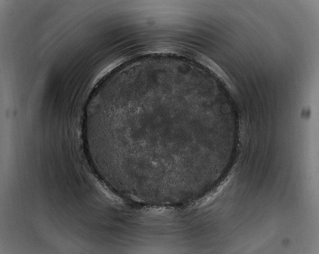 X0000100490826200806201650