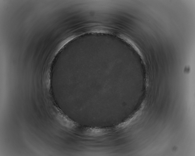 X0000100490829200806201651