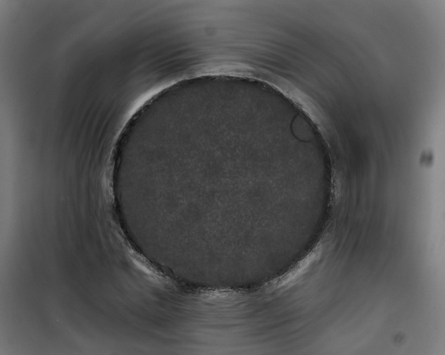 X0000100490830200806201651
