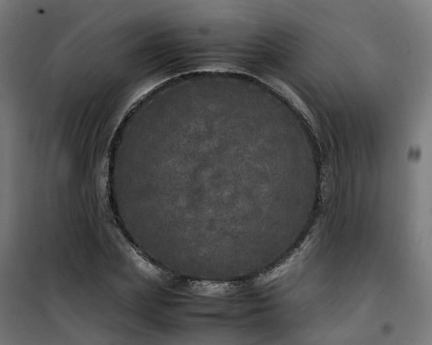 X0000100490831200806201651