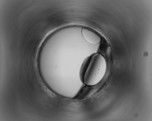 X0000100490832200806201651
