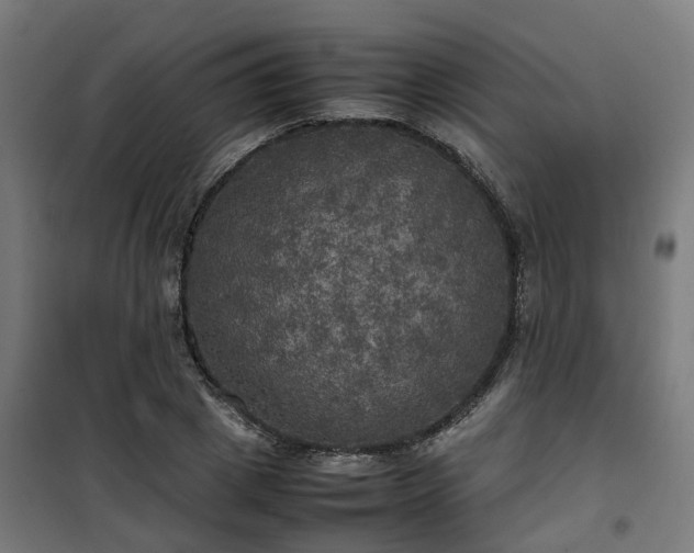 X0000100490833200806201651