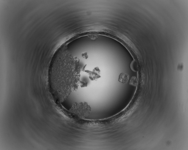 X0000100490834200806201651