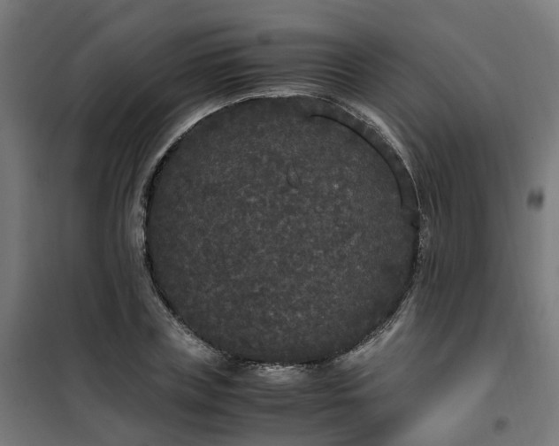 X0000100490835200806201651