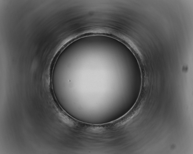 X0000100490837200806201651