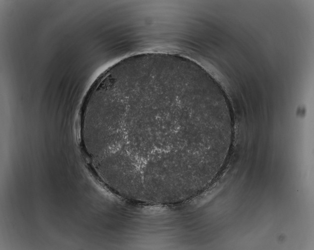 X0000100490838200806201651