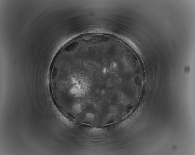 X0000100490839200806201651