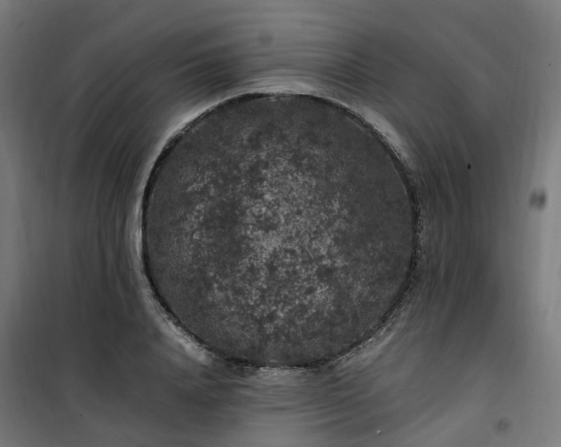 X0000100490840200806201651