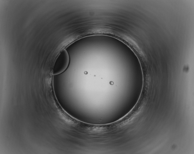 X0000100490841200806201651
