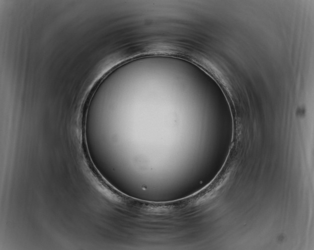 X0000100490843200806201651