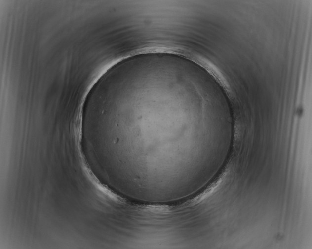 X0000100490844200806201651